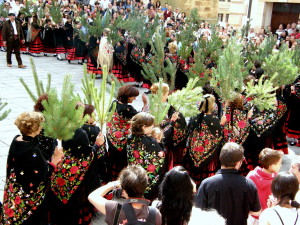 Desfile de piñorras en la Pinochada de Vinuesa