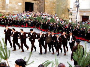 Sargemtos y capitanes de la Pinochada de Vinuesa