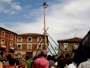 Panorámica de la Pingada del Mayo en Vinuesa (Soria)